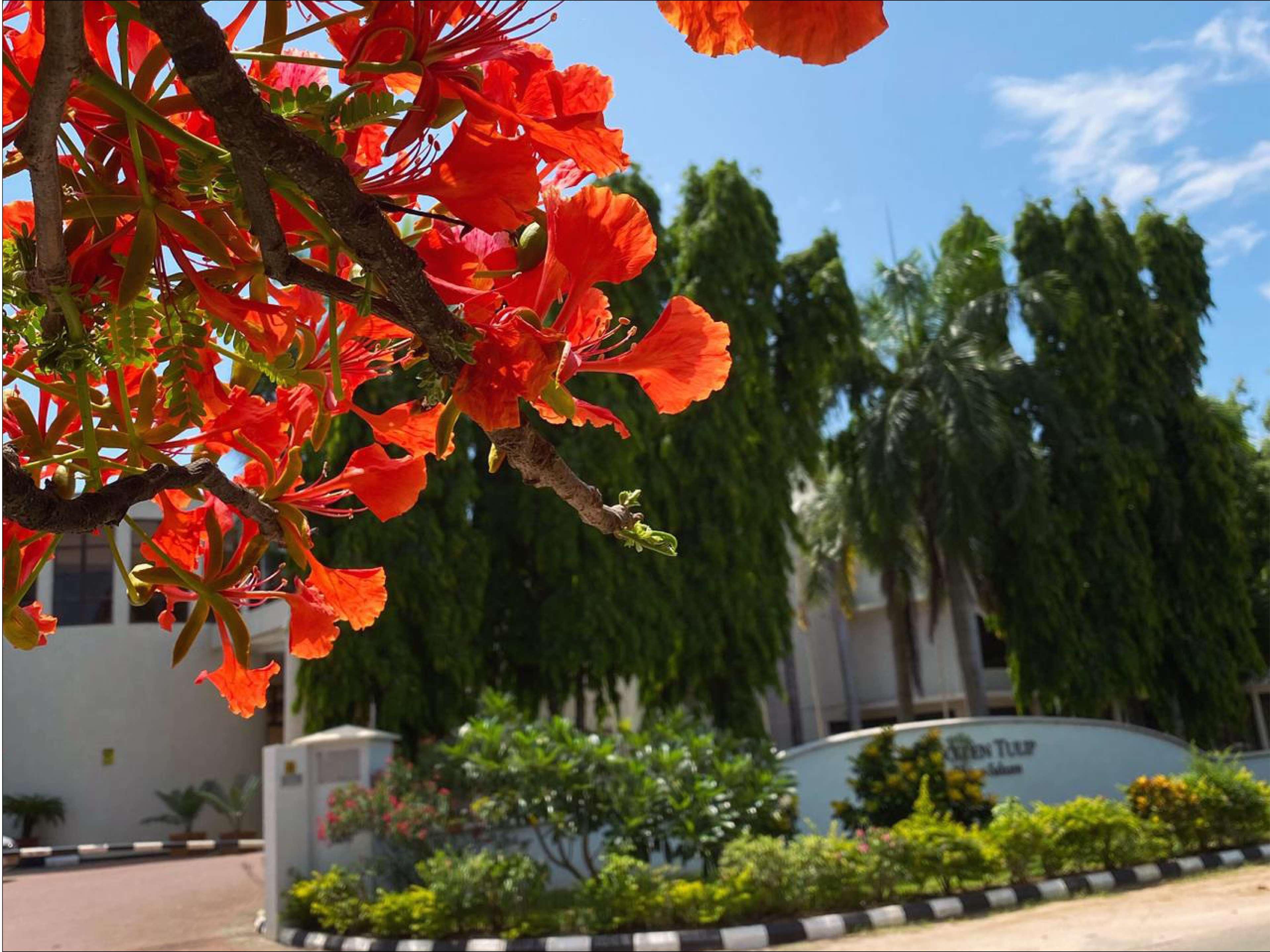 Golden Tulip Dar Es Salaam Hotel Exterior photo